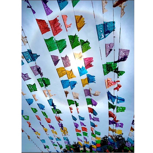 Meet your Posher, KK! - Picture 11 of 11